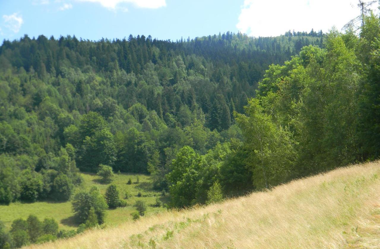 Dom W Gorach Przy Szlaku Villa Bystra  ภายนอก รูปภาพ