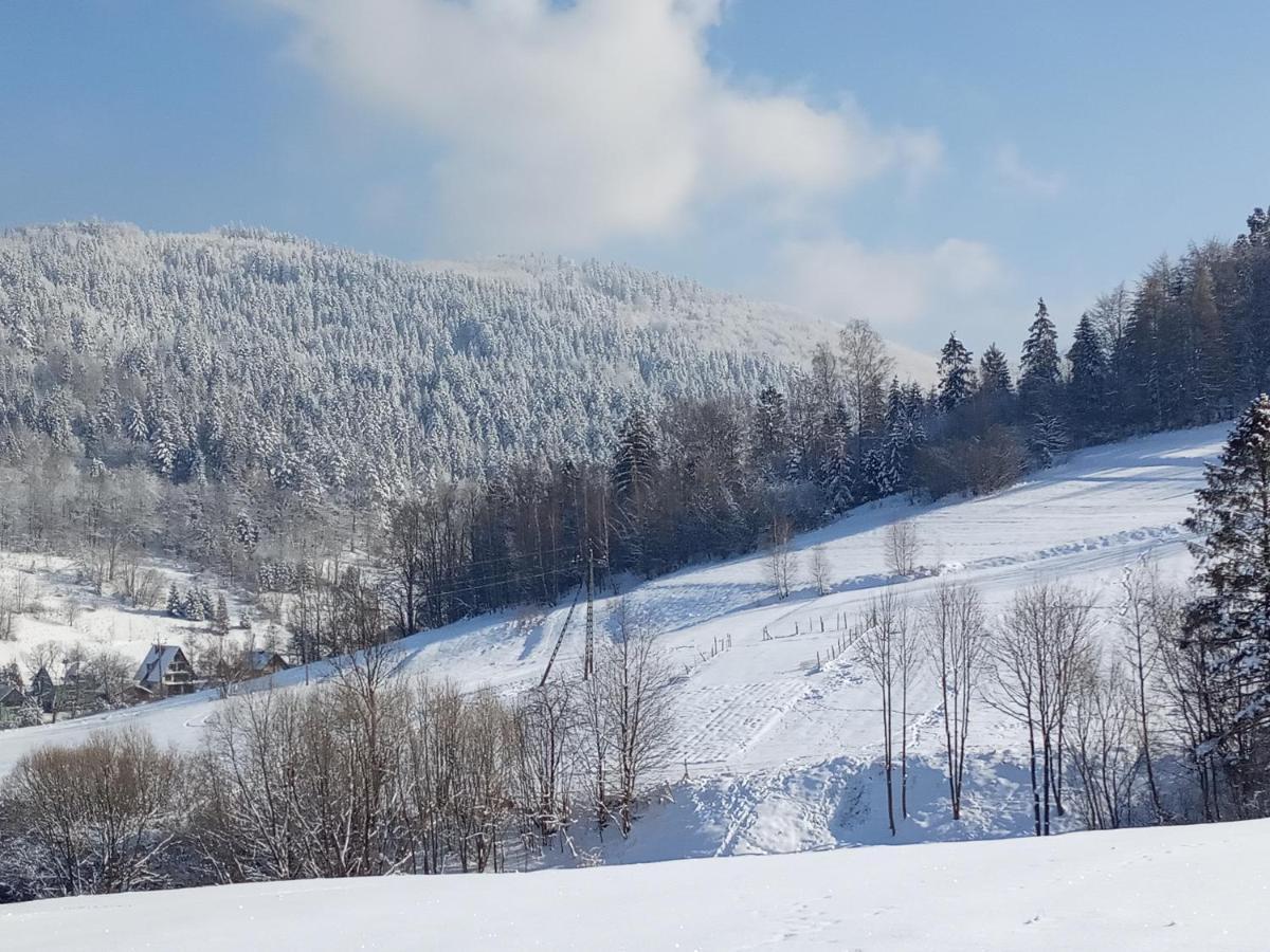 Dom W Gorach Przy Szlaku Villa Bystra  ภายนอก รูปภาพ