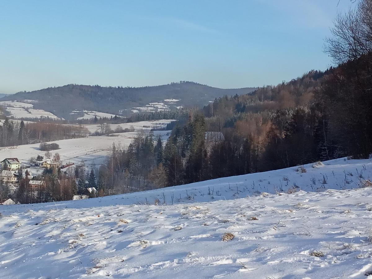 Dom W Gorach Przy Szlaku Villa Bystra  ภายนอก รูปภาพ
