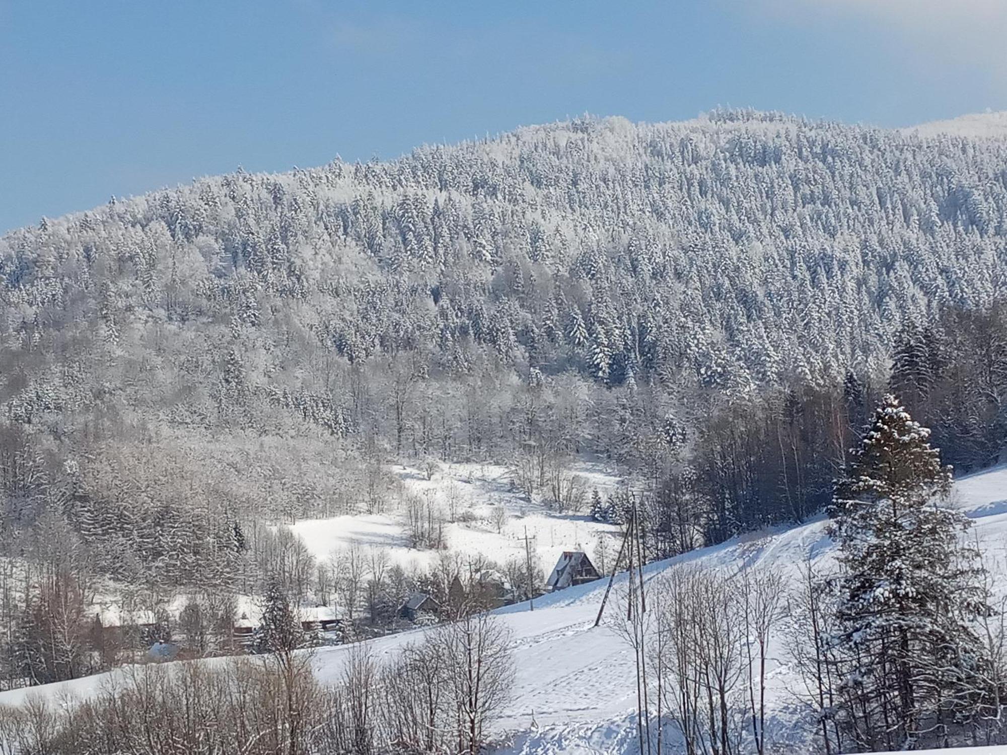 Dom W Gorach Przy Szlaku Villa Bystra  ภายนอก รูปภาพ